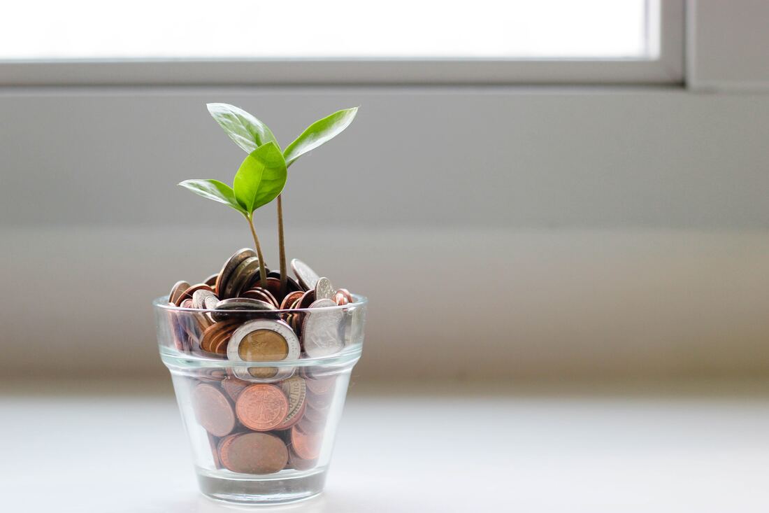 Glass filled with coins with a green plant sprouting at the top, on a white counter with a window in the background